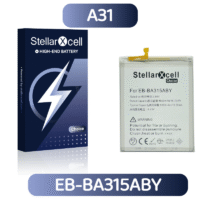 A31